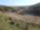 Exmoor Walks: The Chains and Pinkery Pond