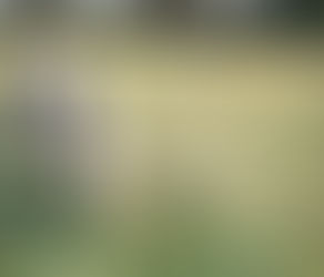 Cornish Walks: Lamorna & the West