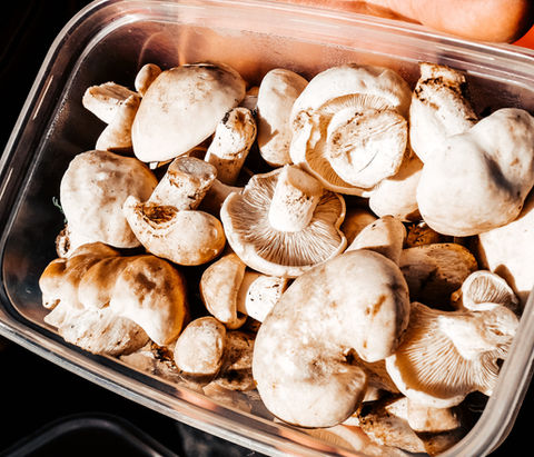 Magic of Mushrooms in May