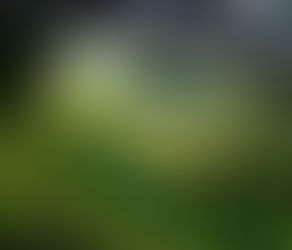 Exmoor Walks: A Hike Through Simonsbath’s History and Scenery 🌿