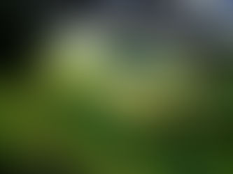 Exmoor Walks: A Hike Through Simonsbath’s History and Scenery 🌿