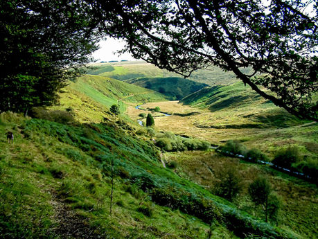 Exmoor Walks: A Hike Through Simonsbath’s History and Scenery 🌿