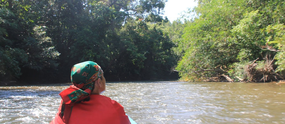 Travelling up-river into the Borneo rainforest