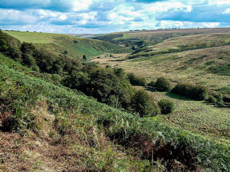 Barle Valley