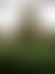 Exmoor - 3 Towns and Villages