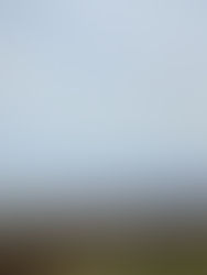 Somerset Walks: the Quantock Hills - Scenic Hike with History and Views