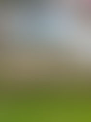 Cornish Walks: Godolphin Hill