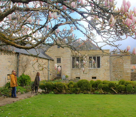 Cornish Walks: Godolphin Hill