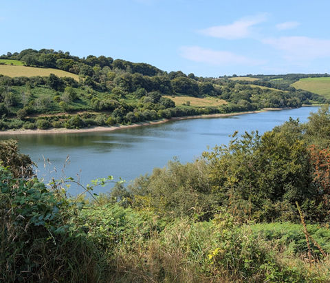Clatworthy Reservoir - Most Peaceful Stretch of Water in the South West