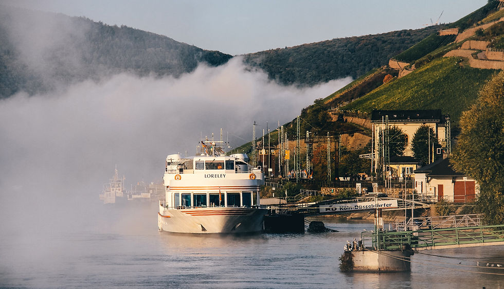 Tourist boats moored in the Upper Rhine Valley