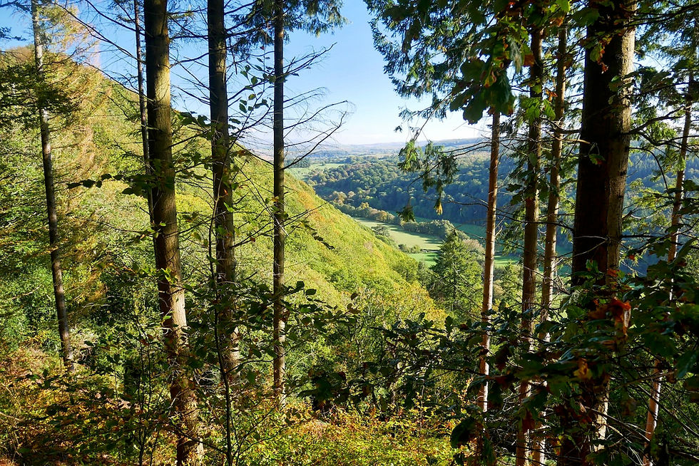Exmoor Walks: Hopcott - Minehead to Dunster