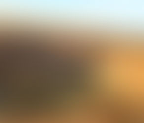 Our 2025 Remembered - First half until June