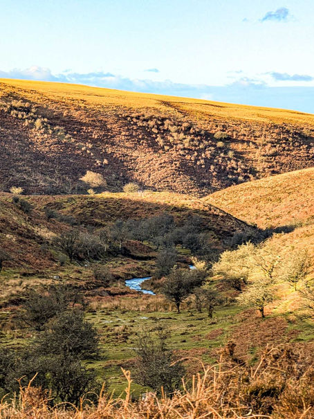 Our 2025 Remembered - First half until June