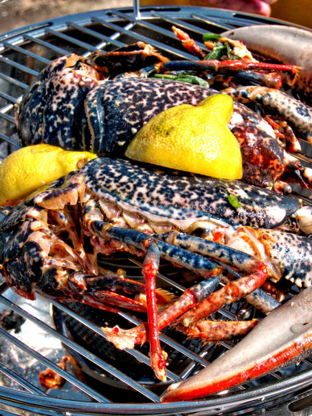 Hesp Out West - an Introduction