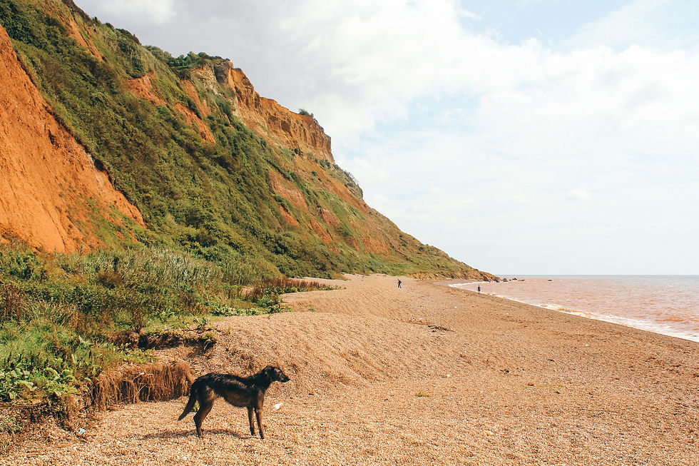 The beach looking east along Salcombe Regis Mouth