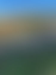 Cornish Walks: Mullion to Lizard