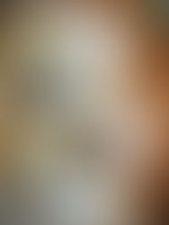 Wild Mushroom Foraging: Ceps, Chanterelles and the Magic of Autumn Fungi