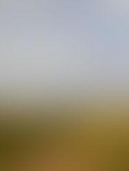 Exmoor Walks: a Place Called Beckham