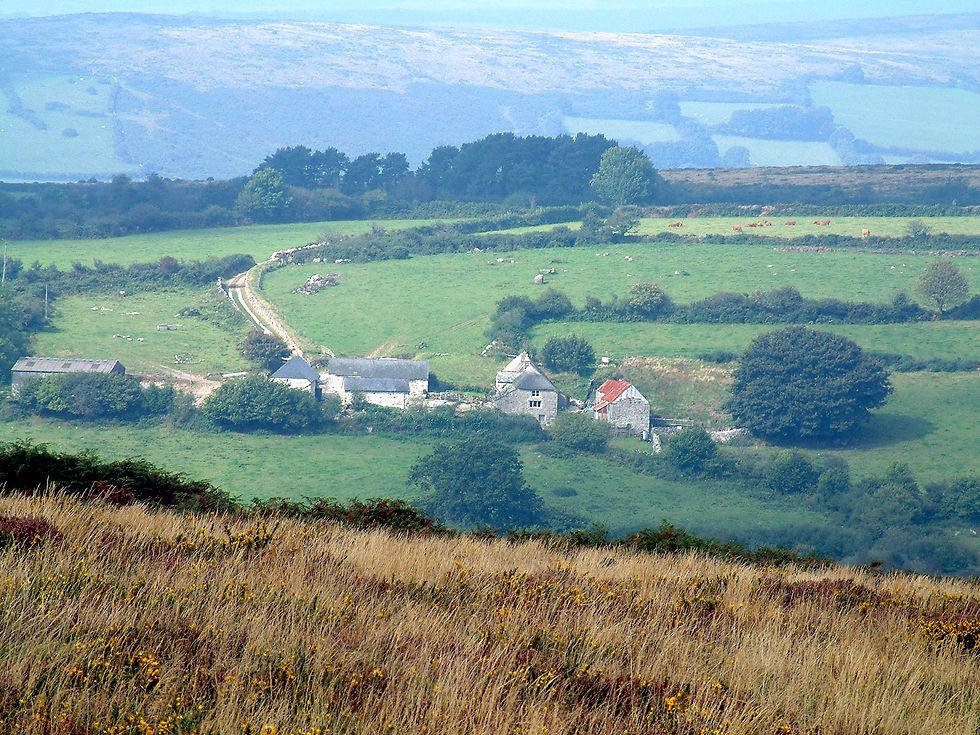Downhill from Buckland Beacon