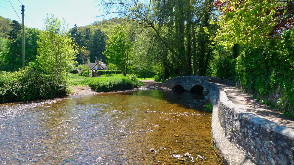 Forests climb away from Gallox Bridge, Dunster, Somerset
