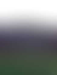 Celebrated Cornwall - Trelowarren