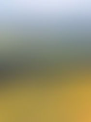 Dartmoor Walks - Over Hamel Down