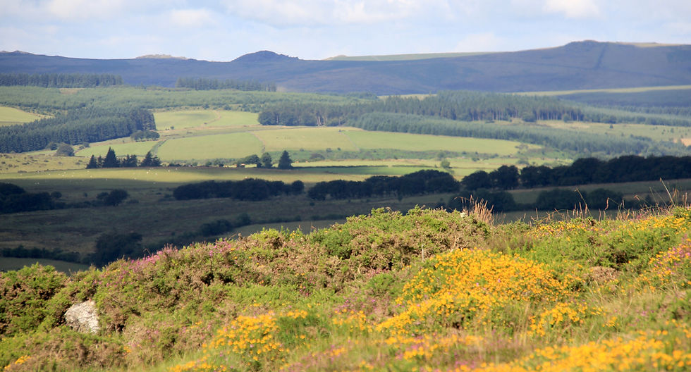 A view north from Hamel Down on Dartmoor