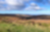 6 Great Walks on the Quantock Hills (and Somerset's Jurassic Coast)