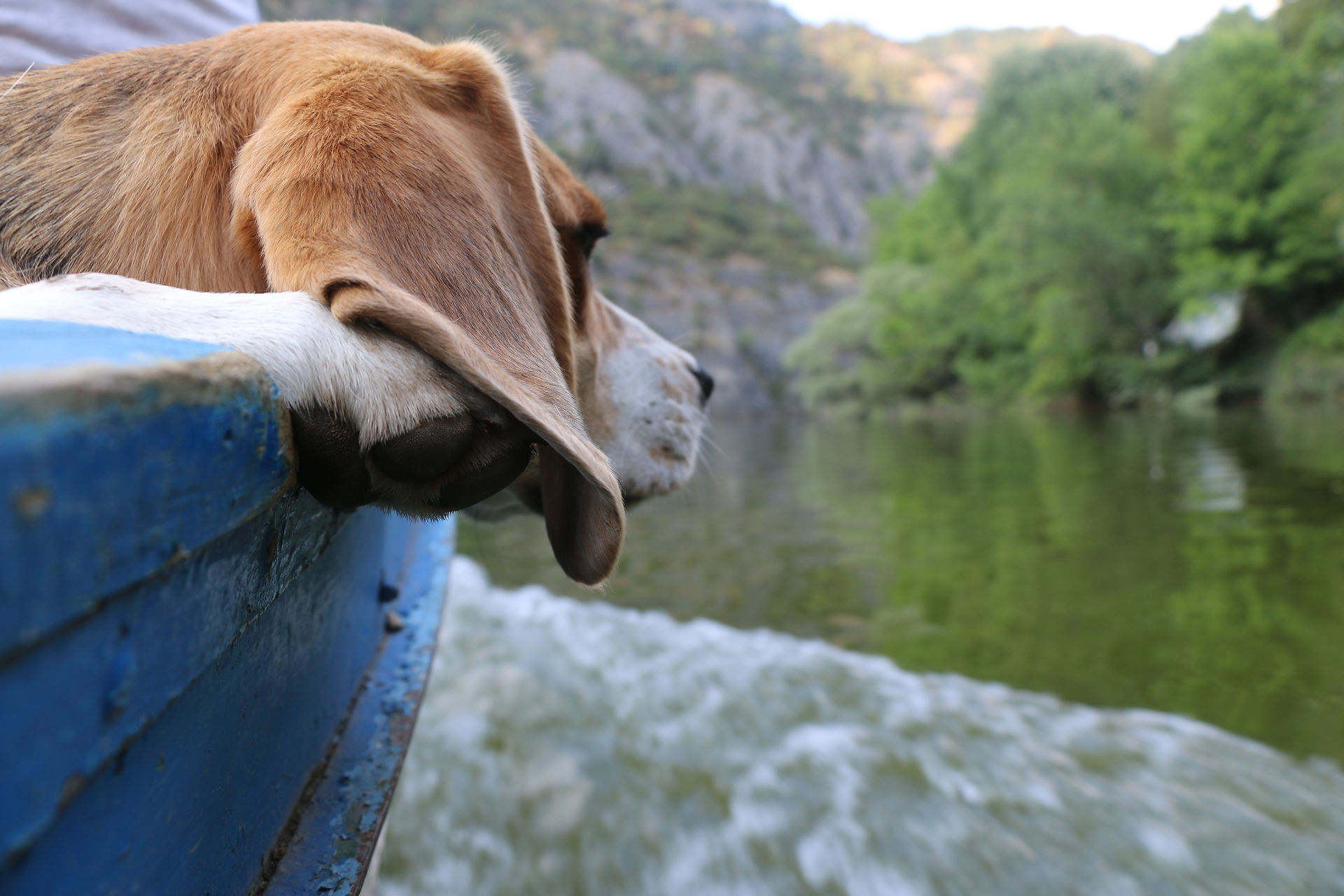 Bidule dans le bateau