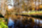_O2A0282_edited.jpg