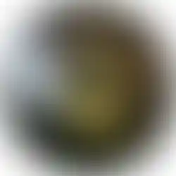 Gravesham+Size+5_promo-1920w.webp