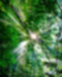 sitepic03.png