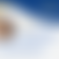 IT-олімпіада з Excel і Word: нові можливості та лайфхаки