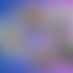 Мистецтво як опора виховання: інтерактивний івент для освітян у художньому музеї