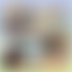 Академічна доброчесність: цінності, що формують довіру