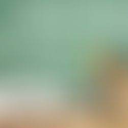 Літня школа продовжує свою роботу