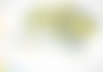 Щодо проведення у закладах освіти тематичних заходів до Дня Соборності України