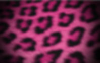 Pink Leopard