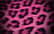 Pink Leopard