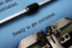 White Dog Editorial Services developmental editing, structural editing, content editing, copyediting, line editing, stylistic editing, proofreading, indexing, Americanizing