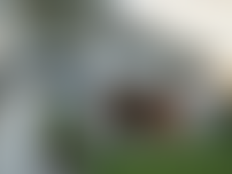 Lower Your Home Insurance Premiums in 2026 with Ember Safe Land Clearing and Fire Mitigation