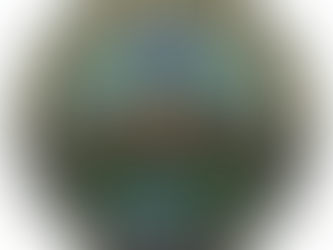  Surviving the Idaho Backcountry: Why Wilderness First Aid is Your Most Important Gear