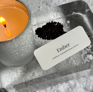 Ember with a candle and pinecone from the woods