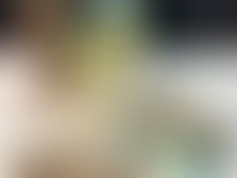 Handbound books from the Woodland series