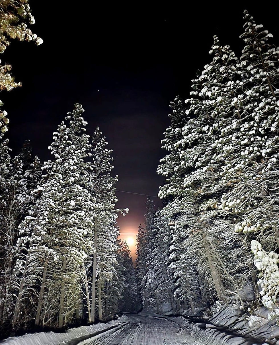 A snowy road in the mountains