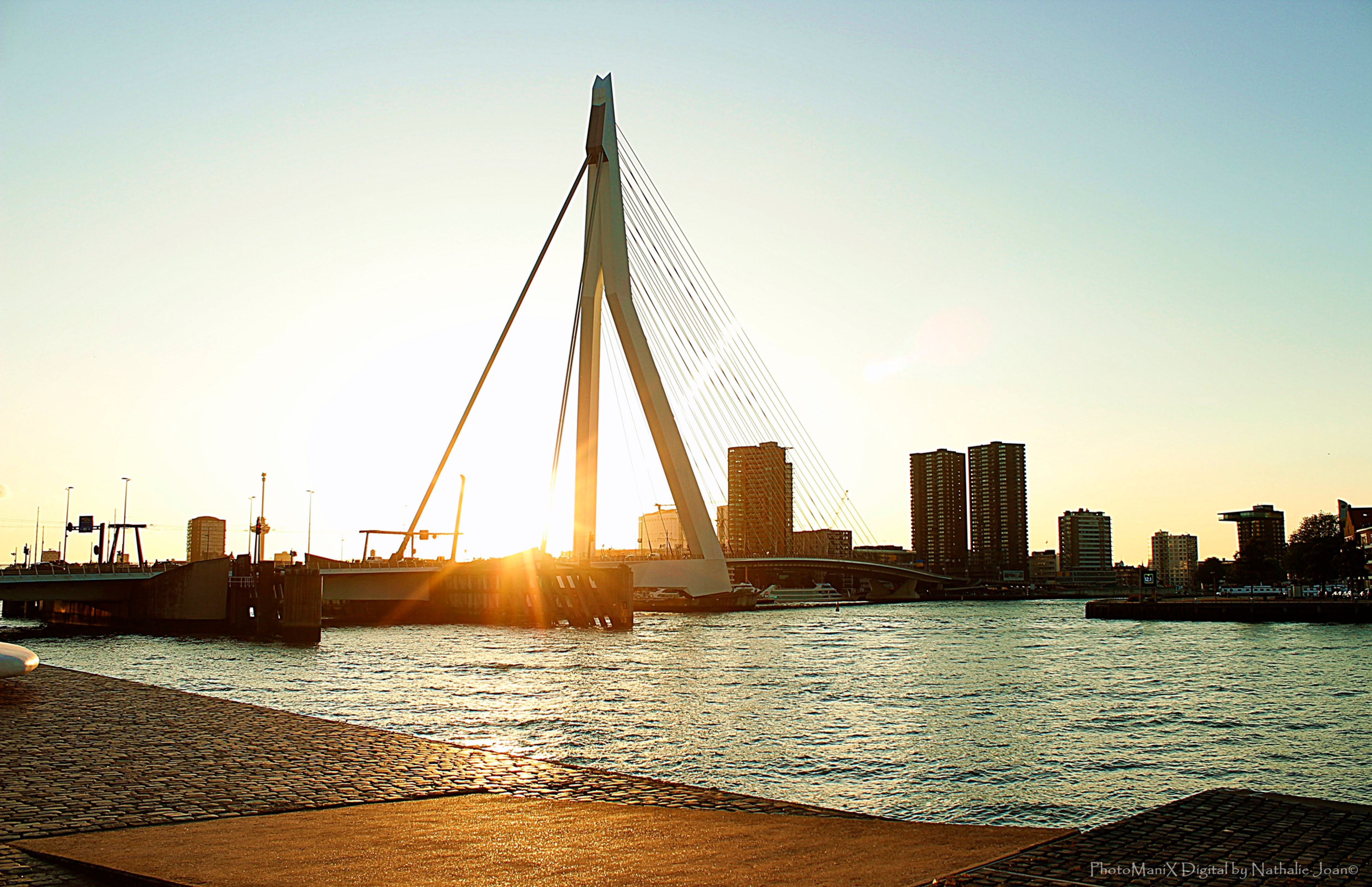 Rotterdam Erasmusbrug by Sunset