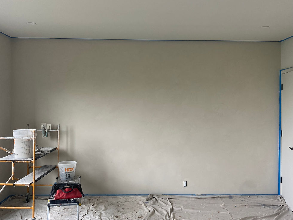 Roman clay plaster, Cincinnati Ohio
