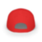 Thumbnail: VIETNAM SEABEES Low Profile Baseball ballcap