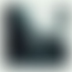 Torus