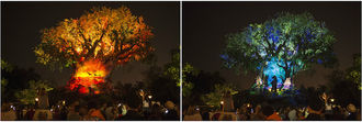 FIRST-EVER NIGHT EXPERIENCES AT DISNEY’S ANIMAL KINGDOM BEGIN MAY 27
